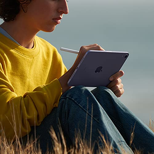 2021 Apple iPad mini (8,3", Wi-Fi, 64GB) - Grigio siderale (6ª generazione) (Ricondizionato)