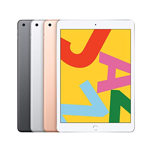 2019 Apple iPad (10.2-pollici, Wi-Fi + Cellulare, 32GB) - Grigio siderale (Ricondizionato)